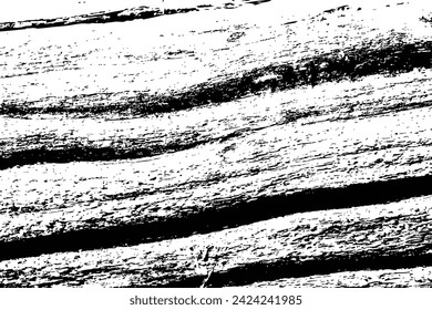 Abstract tree wood surface texture background. Nature wooden texture. Black and white. Vector background design. Forest finds collection, natural tree flat.