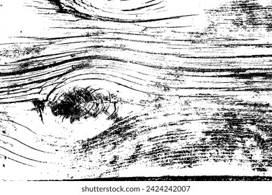 Abstract tree wood surface texture background. Nature wooden texture. Black and white. Vector background design. Forest finds collection, natural tree flat.