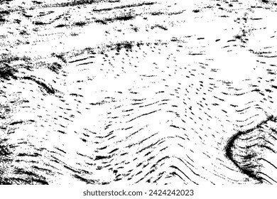 Abstract tree wood surface texture background. Nature wooden texture. Black and white. Vector background design. Forest finds collection, natural tree flat.