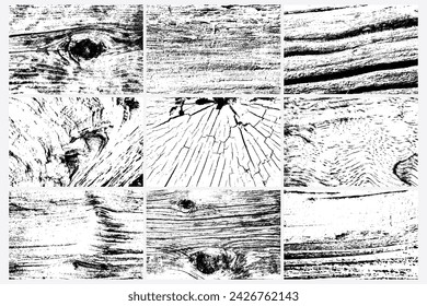 Abstract tree wood surface texture background set. Nature wooden texture collection. Black and white. Vector background design. Forest finds collection, natural tree flat set.