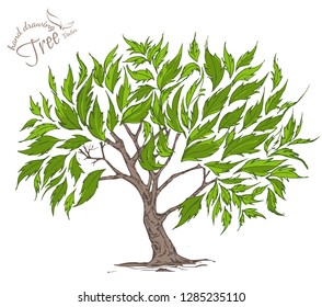 abstract tree.Hand drawn tree isolated on white background. Sketch, vector illustration.