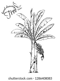 abstract tree.Hand drawn tree isolated on white background. Sketch, vector illustration.