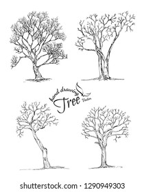 abstract tree.Hand drawn tree isolated on white background. Sketch, vector illustration.