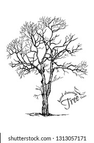 abstract tree.Hand drawn tree isolated on white background. Sketch, vector illustration.