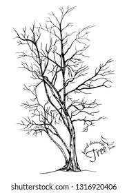 abstract tree.Hand drawn tree isolated on white background. Sketch, vector illustration.