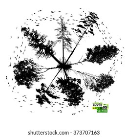 Abstract of trees with birds. set of trees. Vector