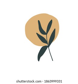 Abstract trendy botanical vector illustration. Art modern print, wall art, boho home decor poster. Interior design elements. Plant, geometric shape isolated on white. Scandinavian minimalist style.