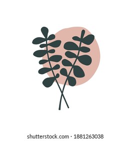 Abstract trendy botanical vector illustration. Art modern print, wall art, home decor poster. Interior design elements. Plant eucalyptus, geometric shape isolated on white. Minimalism style