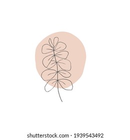 Abstract trendy botanical vector illustration. Contemporary art, modern print, floral wall art, boho decor poster. Interior design elements. Eucalyptus branch line art.