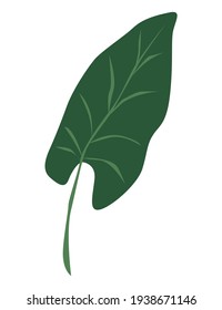 Abstract tropic green leaf hand drawn vector icon EPS10