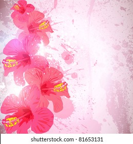 Abstract tropical background. Hibiscus flower for design.