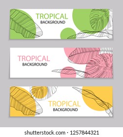 Abstract tropical banana and monstera palm leaves tropical background. Vector Illustration EPS10
