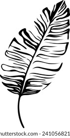 Abstract tropical black and white leaf. Hand drawn engraved ink art. Isolated illustration element on white background.