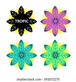 Abstract tropical flowers. Exotic vector set. Summer plants