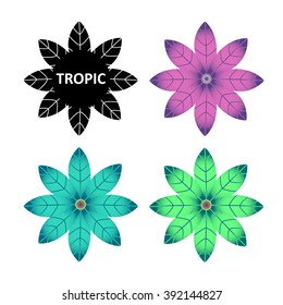 Abstract tropical flowers. Exotic vector set. Summer plants