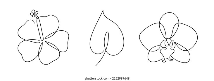 Abstract tropical flowers set in a modern minimalist one line style. Continuous black line simple drawing. Hibiscus, orchid and an anthurium flower. Vector fashion illustration.