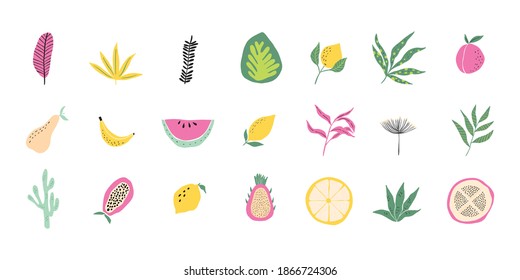 Abstract tropical fruit elements. Vector illustration. Trendy doodle and abstract nature icons, sticker set, organic shapes on isolated background. Vector illustration 
