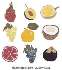 Abstract tropical fruit set, boho tropical elements isolated vector illustration, summer coconut, grape, grapefruit, plum and dragon fruit art