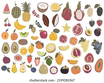 Abstract tropical fruit set, boho tropical elements isolated vector illustration, summer banana, strawberry, pear, papaya and peach fruits art