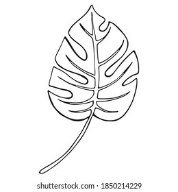 hoja tropical abstracta aislada en blanco. Hoja tropical dibujada en línea de tinta. Philodendron Leaf