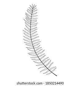 abstract tropical leaf isolated on white. Cute single hand drawn herbal element