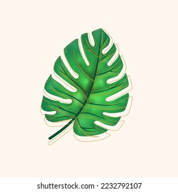 vector de hoja tropical abstracta. Elementos botánicos para el spa, productos de belleza y cosméticos. Hoja de planta de Monstera.