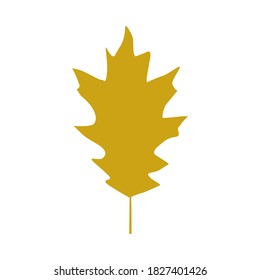 Abstract tropical leaf vector illustration. Silhouette of autumn leaf isolated on white background