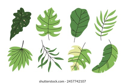 Abstract Tropical leaves. Beautiful exotic foliage. Hand drawn modern Vector illustration. Cartoon style, flat design. All elements are isolated