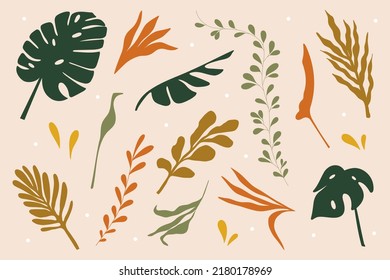 Abstract tropical leaves. Exotic floral foliage, hand drawn modern boho style, palm leaf, flat jungle plants. Vector set