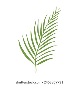 Abstract tropical leaves on white background.