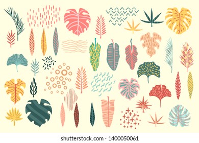 Abstract tropical leaves, palm, banana, ginkgo. Plant collection