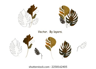 abstract tropical leaves.vector simple illustration.by layers.isolated on a white background.