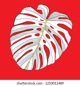 Abstract tropical monstera  leaf. Vector Illustration EPS10