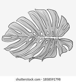 Abstract tropical monstera leaf. Vector Illustration EPS10
