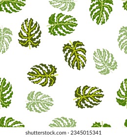 Abstract tropical monstera leaves seamless pattern. Jungle palm leaf decorative backdrop. Design for printing, textile, fabric, fashion, interior, wrapping paper. Vector illustration