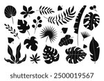 Abstract tropical palm and bush leaves silhouettes of jungle rainforest plants vegetation natural set isolated on white background. Exotic nature paradise decorative prints vector illustration