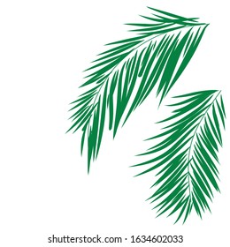 Abstract tropical palm leaves vector illustration. Vector design elements