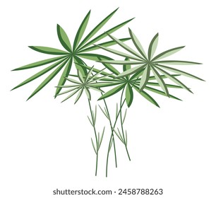 Abstract tropical plant with leaves in flat design. Green papyrus leaves. Vector illustration isolated.