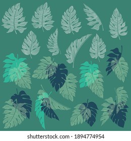 Abstract tropical plant material collection,