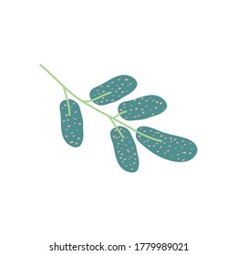 abstract tropical sage leaf icon over white background, flat style, vector illustration