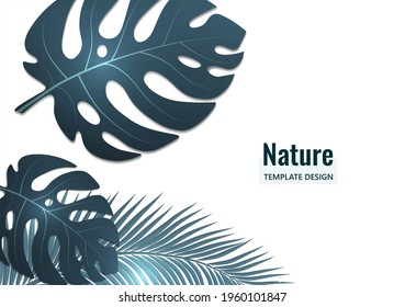 Abstract tropical style. Monstera leaves and palm trees on a white background. Vector illustration for your design