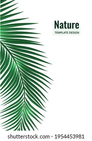 Abstract tropical style. Palm branch on a white background. Vector illustration for your design