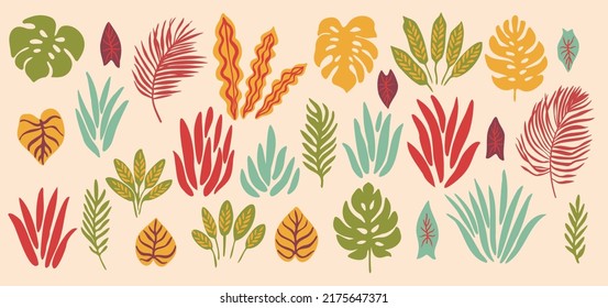 Abstrakte tropische Vektorpflanzen. Blätter und Äste. Blumengrafik