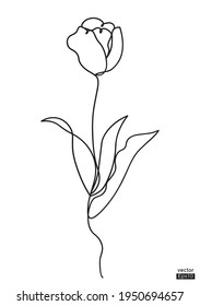 Abstract Tulip flower line continuous. Minimalist art. One line drawing. Continuous line drawing. Vector illustration,vector illustration for for t-shirt, cup and printing.