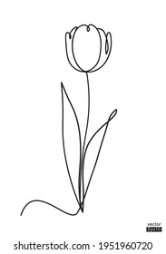 Abstract Tulip flower line continuous. Minimalist art. One line drawing. Continuous line drawing. Vector illustration,vector illustration for for t-shirt, cup and printing.