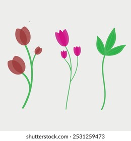 abstract tulips flower illustration. minimalist vector of simple flower, green leaf vector eps file.