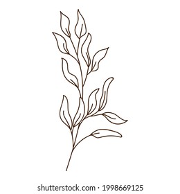 abstract twig with leaves. A blade of grass. Autumn time. Botanical, plant design element with outline. Doodle, hand-drawn. Flat design. Black white vector illustration. Isolated on white