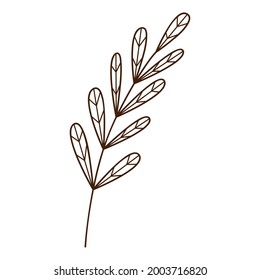 Abstract twig with leaves. A blade of grass. Autumn time. Botanical, plant design element with outline. Doodle, hand-drawn. Flat design. Black white vector illustration. Isolated on a white background