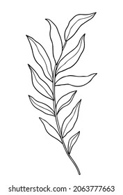 Abstract twig with leaves isolated on a white background. Vector hand-drawn illustration in outline style. Perfect for cards, logo, decorations, invitations. 