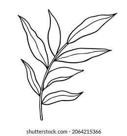 Diga abstracta con hojas aisladas en un fondo blanco. Ilustración dibujada a mano por vectores en estilo de contorno. Perfecto para tarjetas, logotipos, decoraciones, invitaciones. 